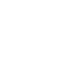 icoono euro
